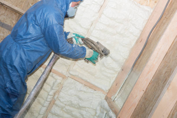 Best Attic Insulation Installation  in USA